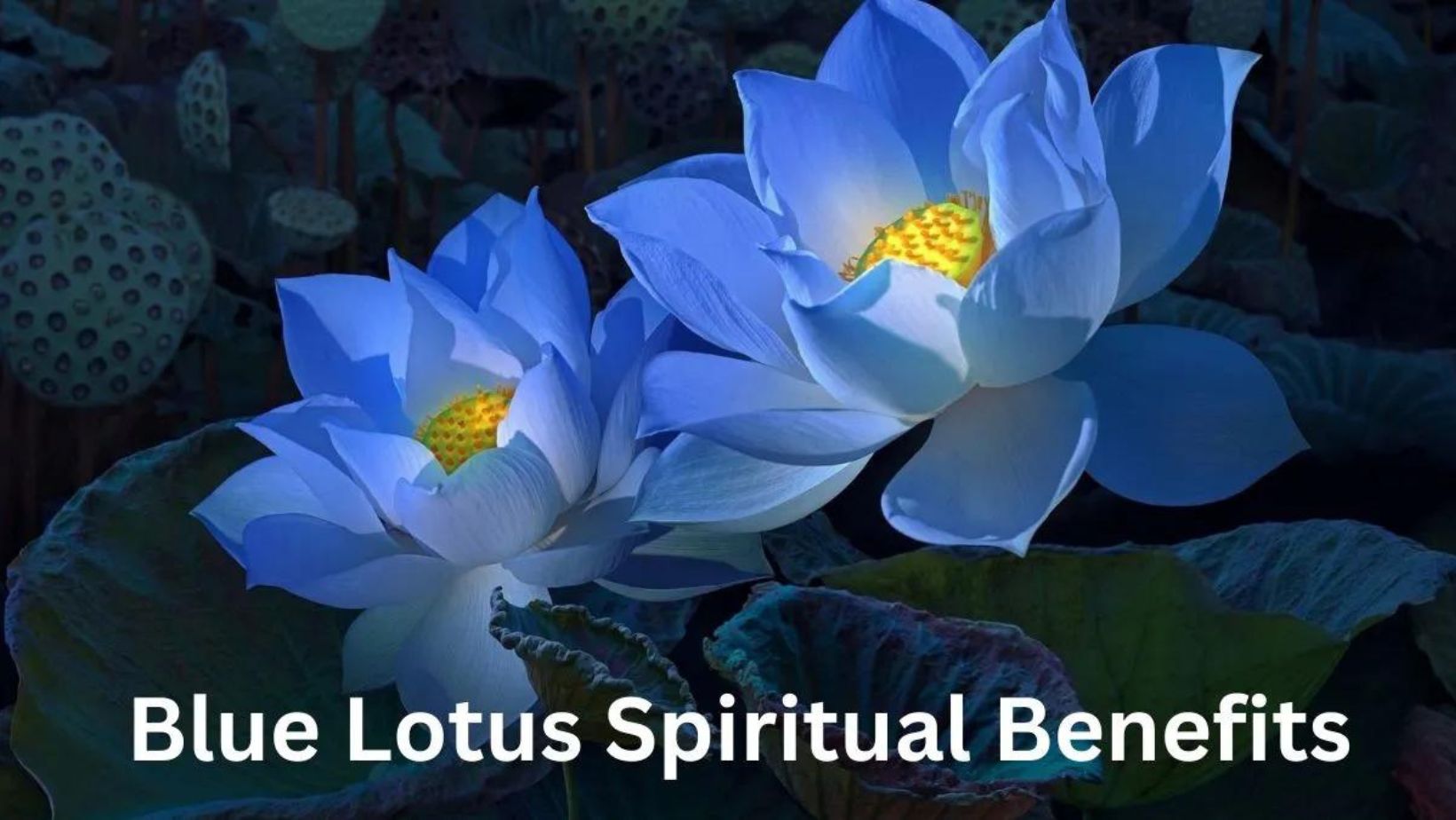 Blue Lotus in Ancient Egypt
